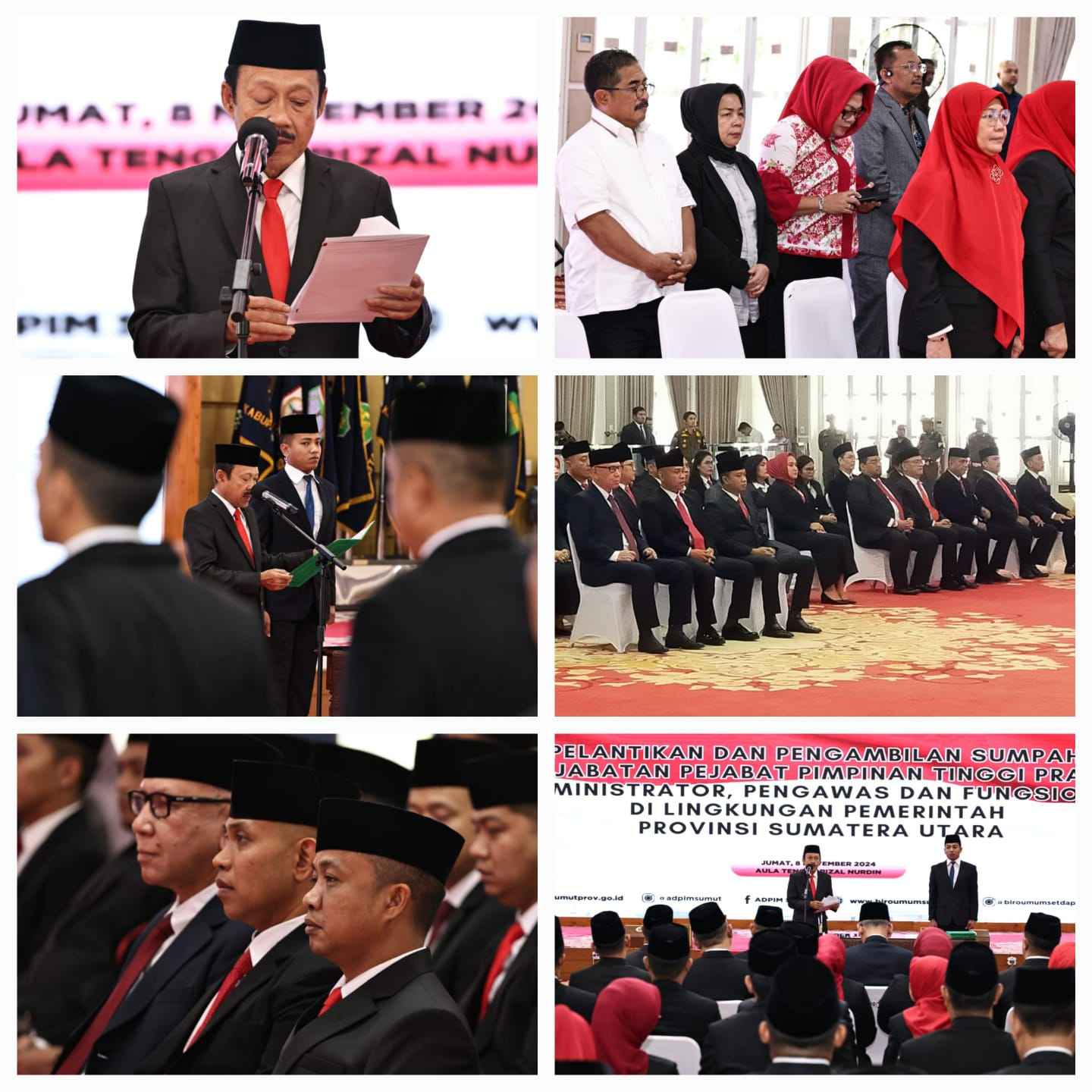 d32992d2-07d9-441f-ba31-f9adea4cf371_11zon