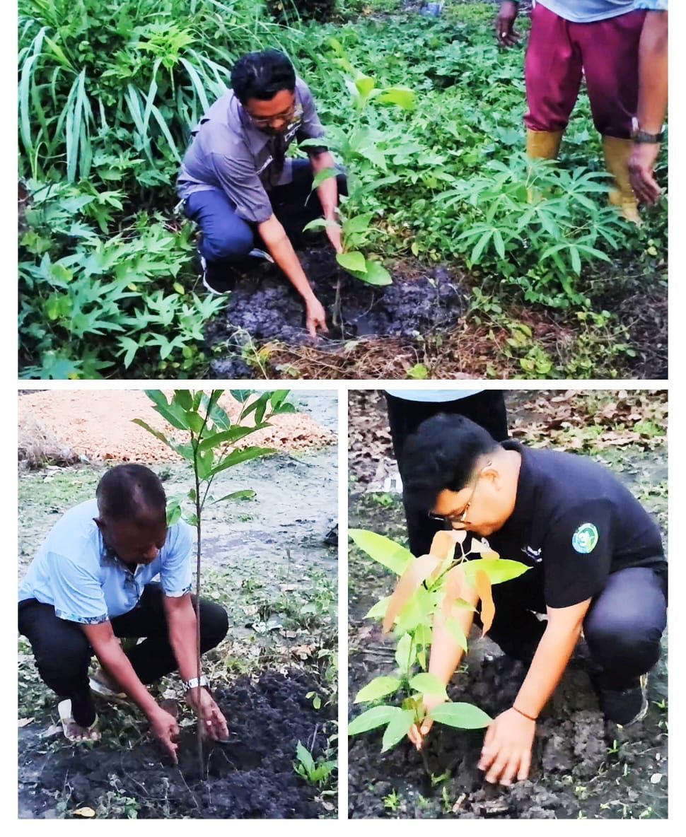 babce46f-8289-4e15-bd96-9af77e0ecfbb