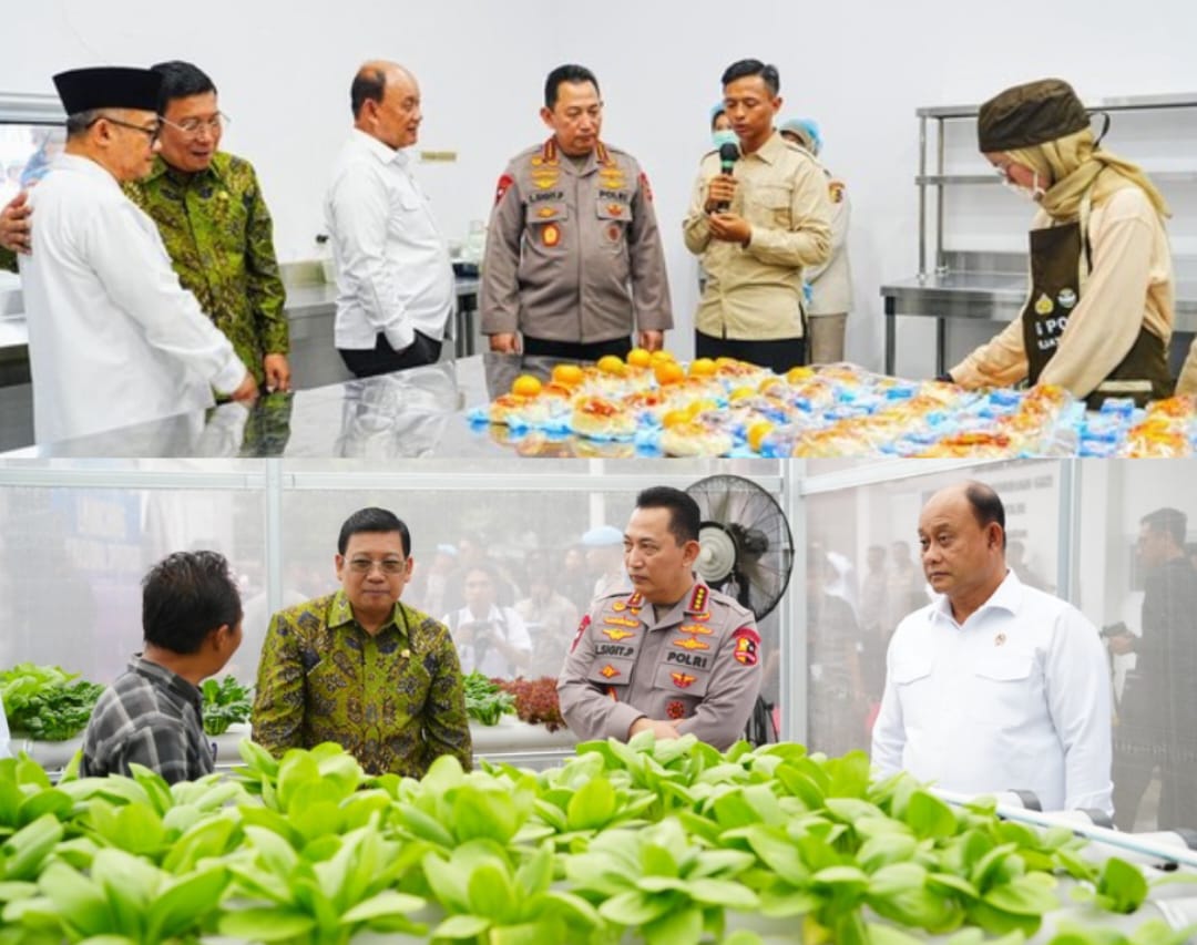 00bc87fc-836e-469a-a9e1-19e0101ca05b