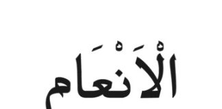 Ilustrasi: Pngtree/Arsiya Oganara