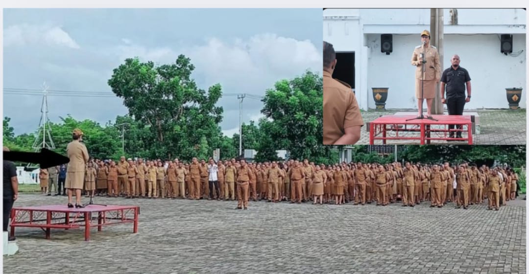 25c1d7ba-82fd-404c-831e-0cf078cd6c3c