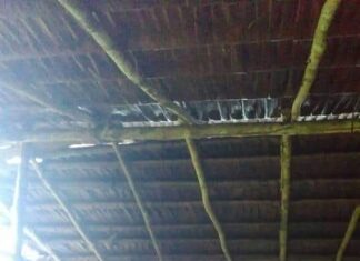 ADA BANYAK PELUANG UNTUK HIDUP LEBIH BAIK