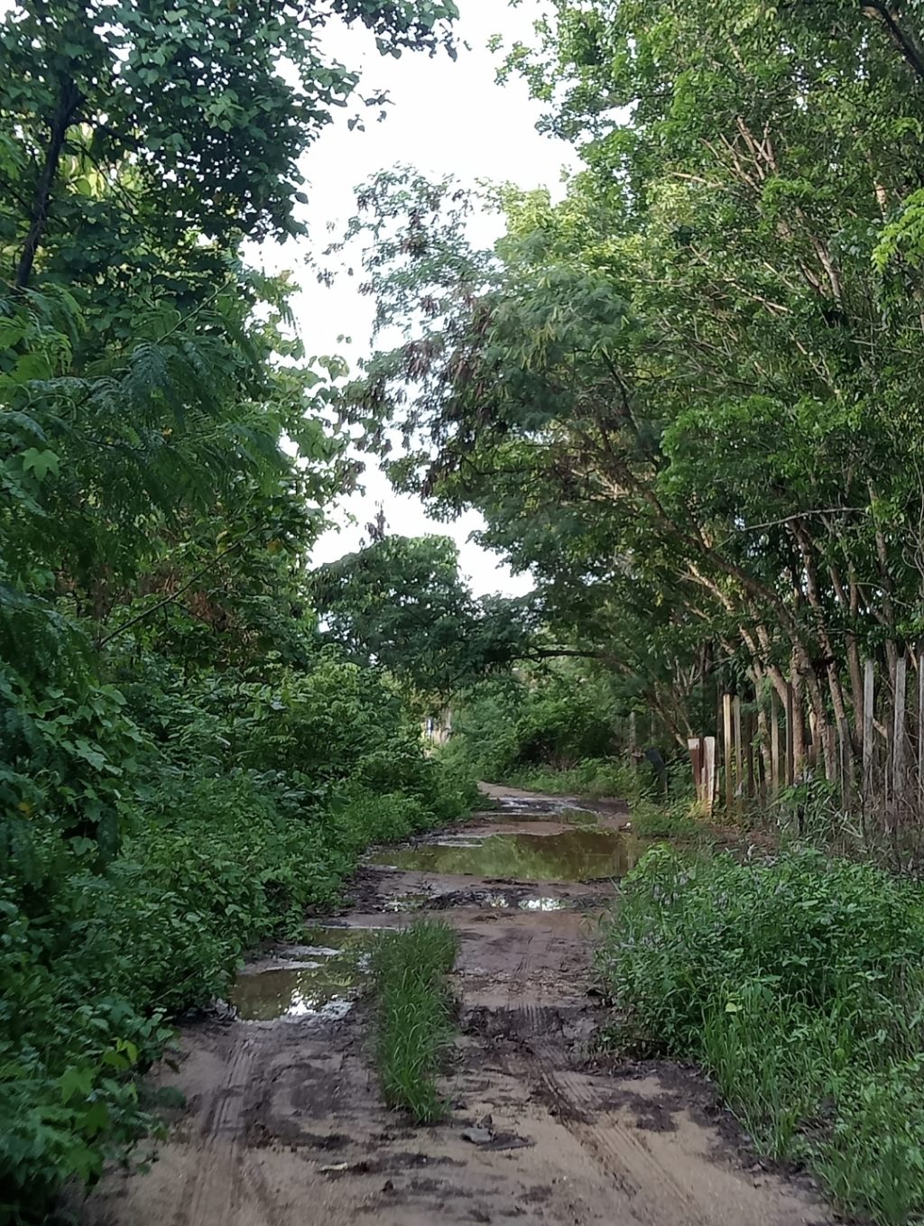 Screenshot_20251227-091640