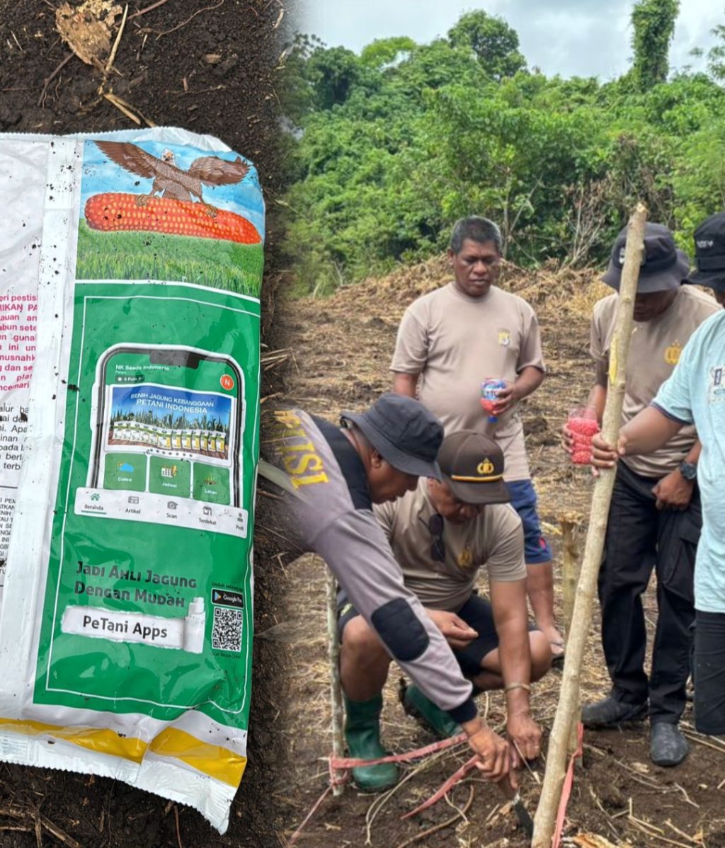 Screenshot_20260201-091631