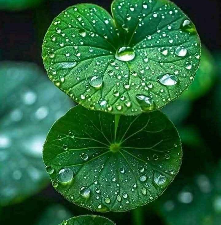 WhatsApp Image 2026-02-05 at 08.05.26_11zon