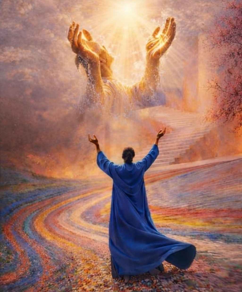 f8803534-c487-4510-ae53-85ae9c29fff8_11zon