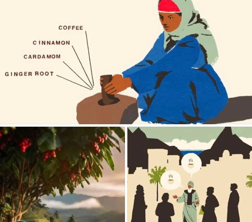 WhatsApp Image 2026-03-28 at 06.56.28