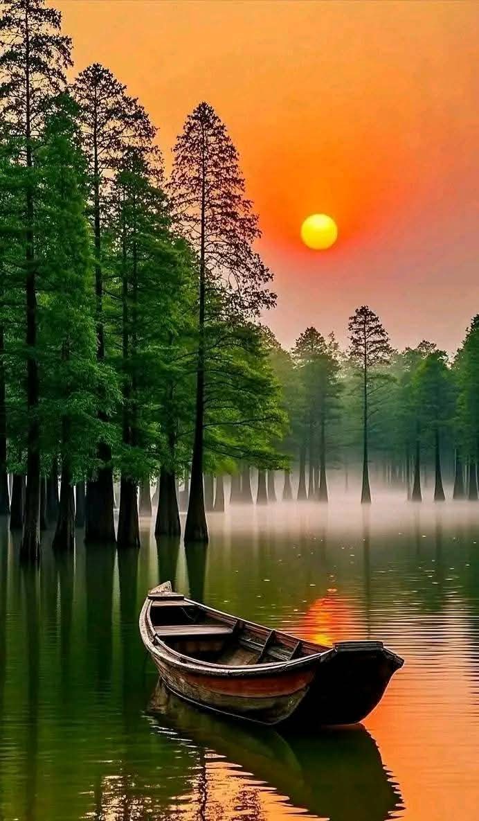 WhatsApp Image 2026-03-30 at 06.22.13