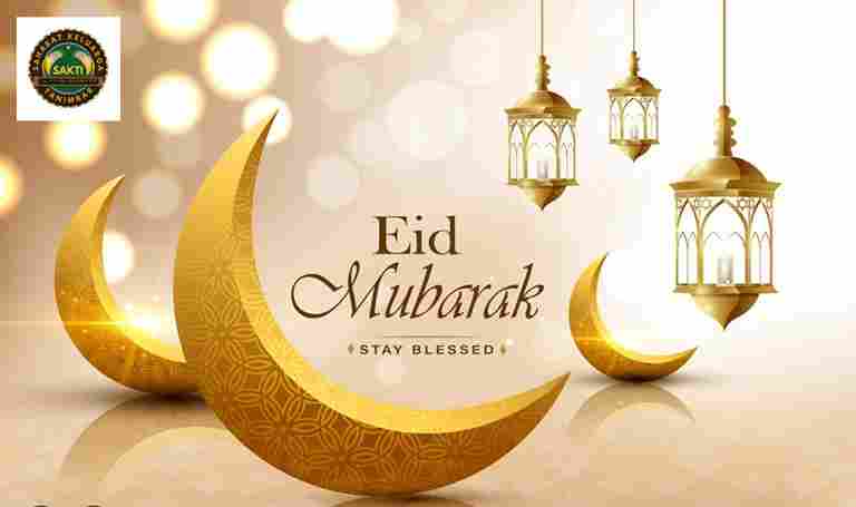 aca54582-31a3-45fa-a529-946b9c7a2336_11zon