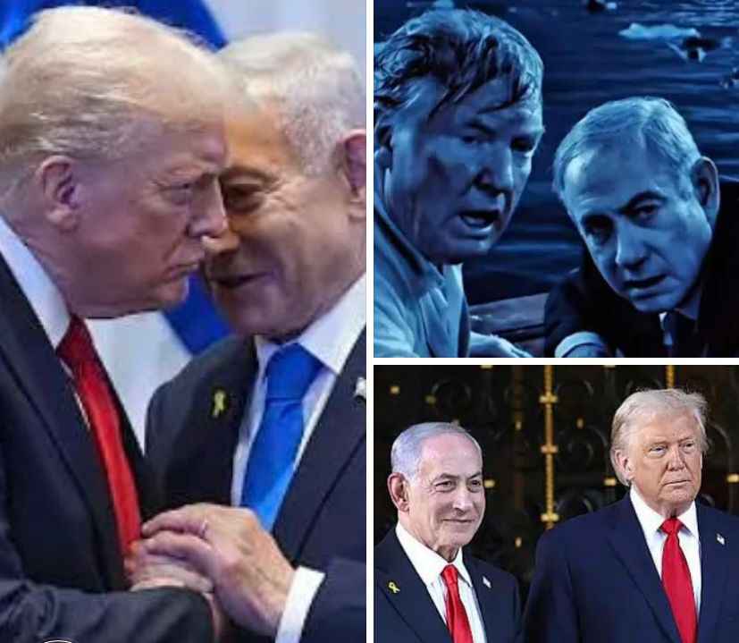 7bd7a091-9647-41f6-b96b-2a8c41e59c8c_11zon