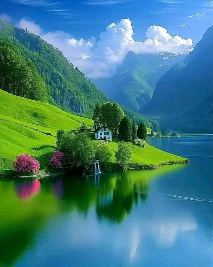 WhatsApp Image 2026-04-17 at 11.02.19